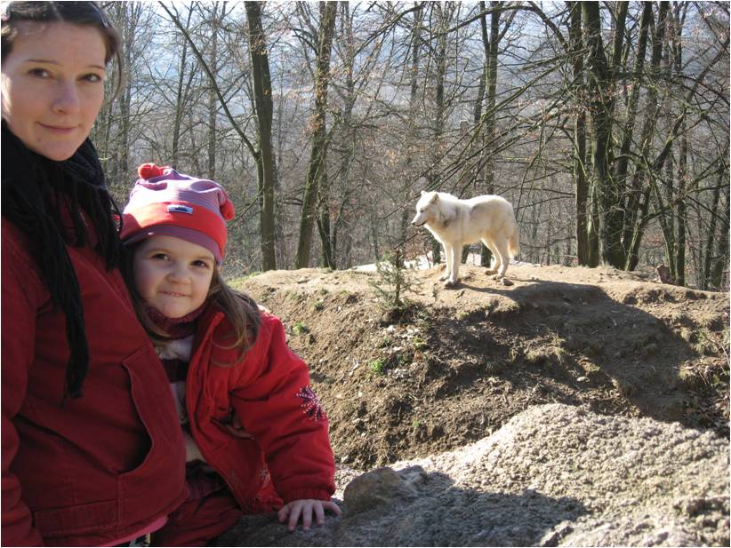 V zoo u vlků
