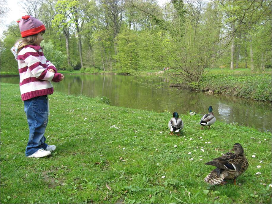 Kačenky v kroměřížském zámeckém parku